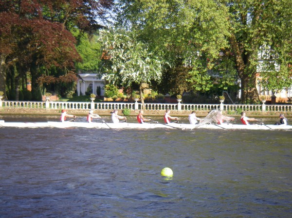 ./Marlow11/3809_wm.JPG